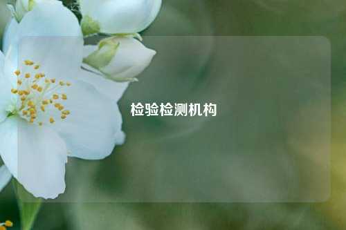 檢驗(yàn)檢測機(jī)構(gòu)